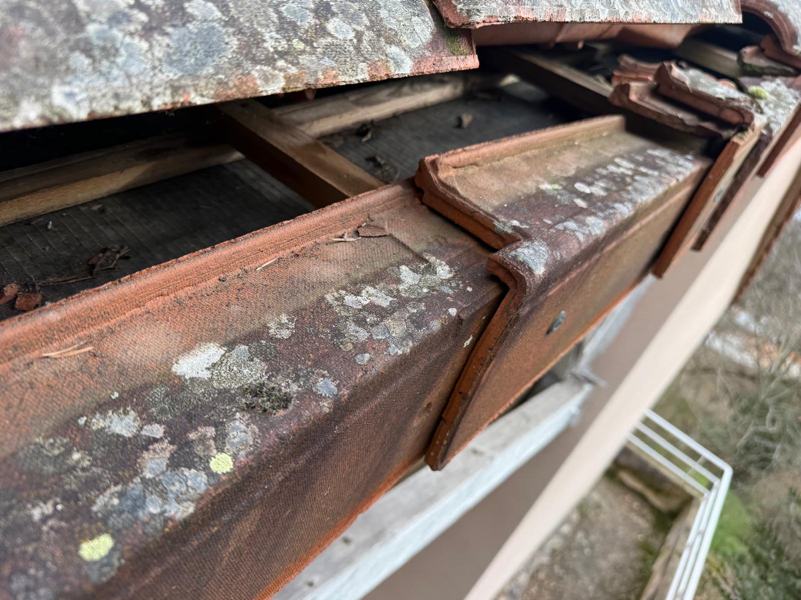 Charpente couvreur Vendée